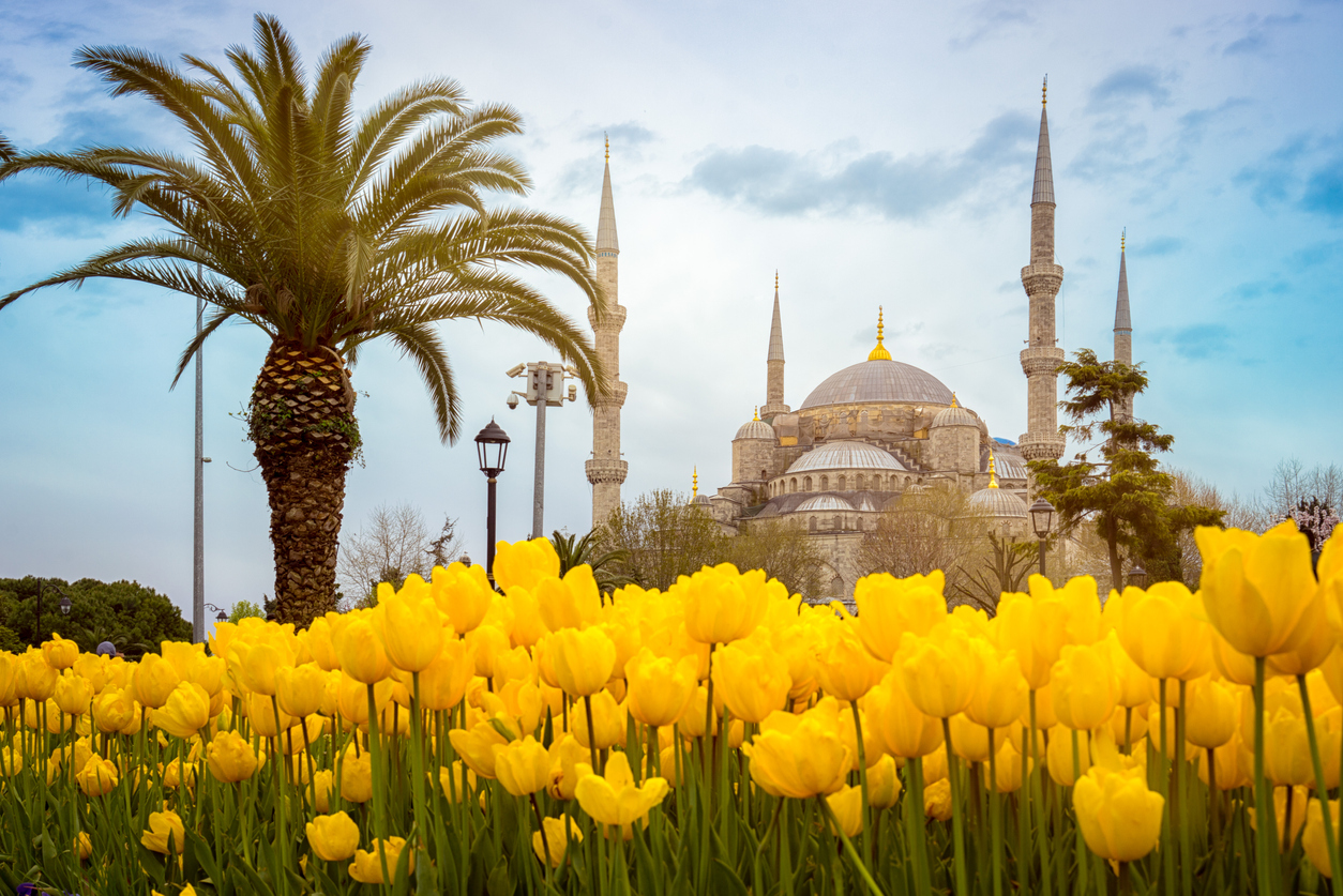 Tulip festival Turkey Trippyigloo Updated 2023