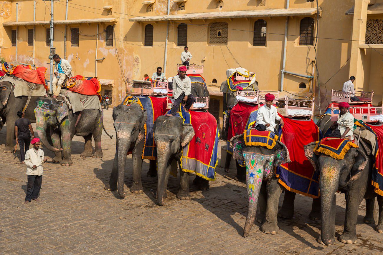 Hathigaon Elephant Village - Safari in India | Bookmesafari